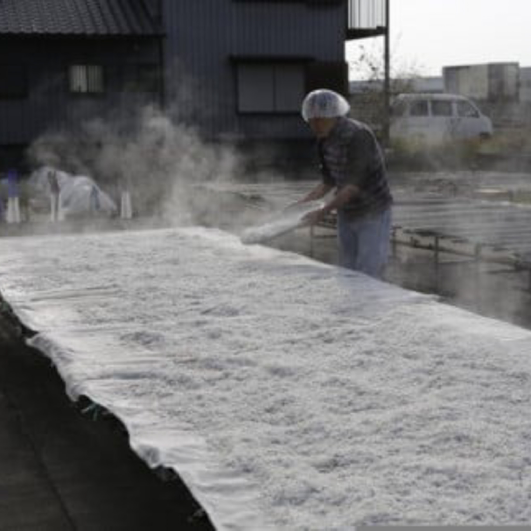 しらす干し 1.5kg シラス しらす ちりめん じゃこ かちり 小魚 魚貝類 海鮮 高知県 南国市