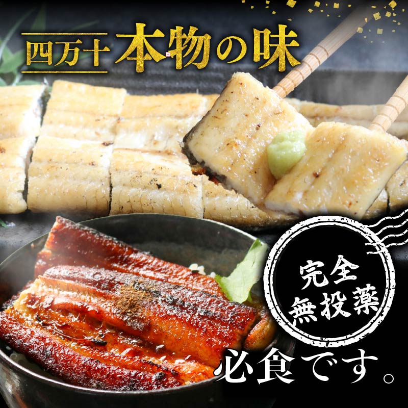 【贈答用】【12回定期便】極上国産うなぎ四万十桜 白焼き約140g×5尾 | うなぎ 鰻 ウナギ 白焼き 定期便 国産 四万十鰻 ウナギ 蒲焼き 調理済み タレ付き 頒布会 ギフト（お歳暮/お正月）高級 お取り寄せ グルメ 食べ比べ 冷凍