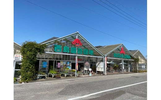 高知県南国市産／メロン・スイカセット【フルーツ くだもの デザート 詰め合わせ セット 高評価 厳選 ギフト 贈り物 人気 おすすめ】【フルーツ くだもの デザート 詰め合わせ セット 高評価 厳選 ギフト 贈り物 人気 おすすめ 】