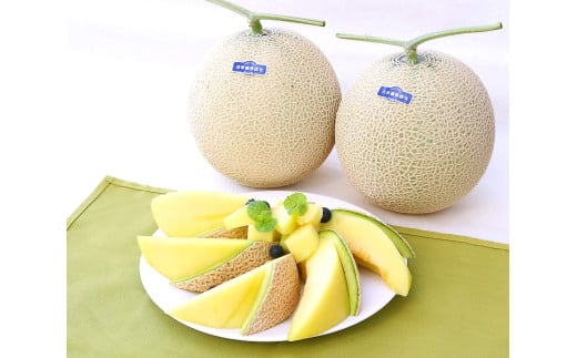 高知県南国市産／贈答用マスクメロン（4個）【メロン フルーツ くだもの デザート 高評価 厳選 高級 ギフト 贈り物 人気 おすすめ】【メロン マスクメロン フルーツ 果物 くだもの 食品 デザート 高評価 厳選 高級 ギフト 贈り物 人気 おすすめ 】