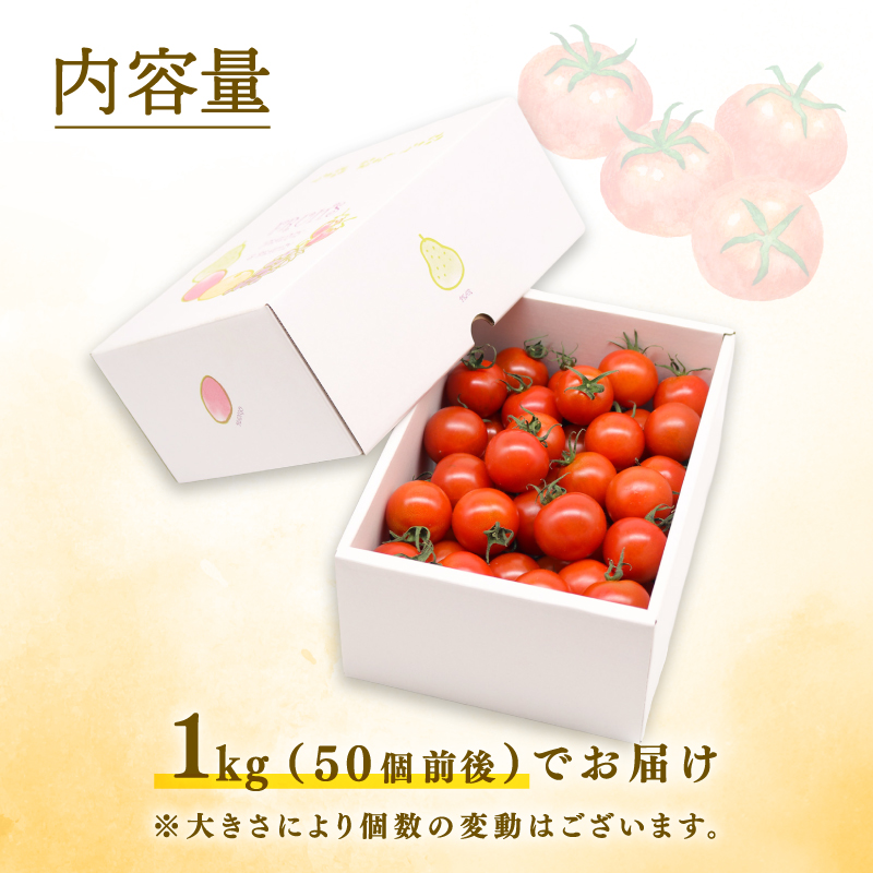 フルティカトマト 1kg | トマト フルティカトマト とまと フルーツ 果物 野菜 厳選 人気 ギフト プレゼント 贈り物 くだもの 旬 お取り寄せ 甘い 産地直送トマト 季節限定 期間限定 西島園芸団地 高知県 南国市