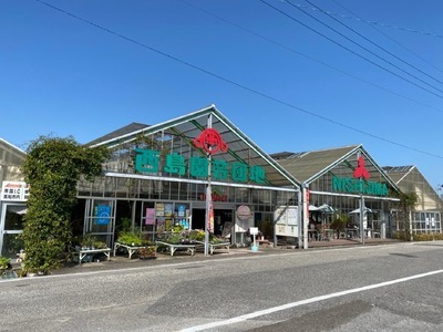 家庭用 メロン 3玉 | マスクメロン 3個 フルーツ 果物 厳選 高級 青肉メロン 人気 デザート ギフト プレゼント 贈り物 くだもの 旬 お取り寄せ 訳アリメロン 甘い 青肉 メロン 高糖度メロン 訳あり 産地直送メロン 訳ありメロン 万円 高知県 南国市