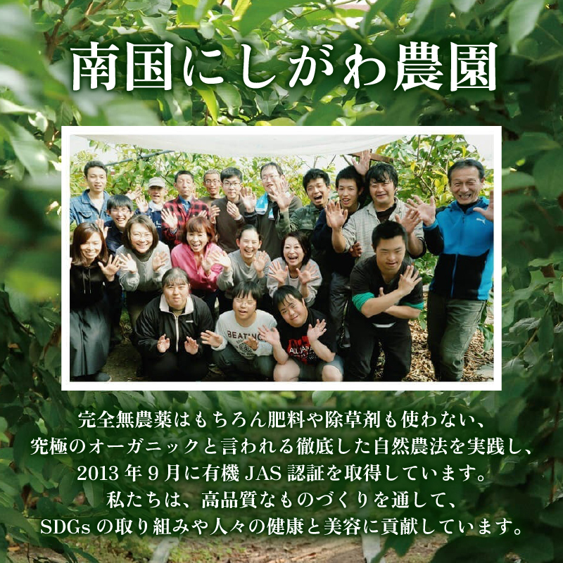 国産有機栽培グァバ葉100％使用 土佐國グァバ茶 2g×60包