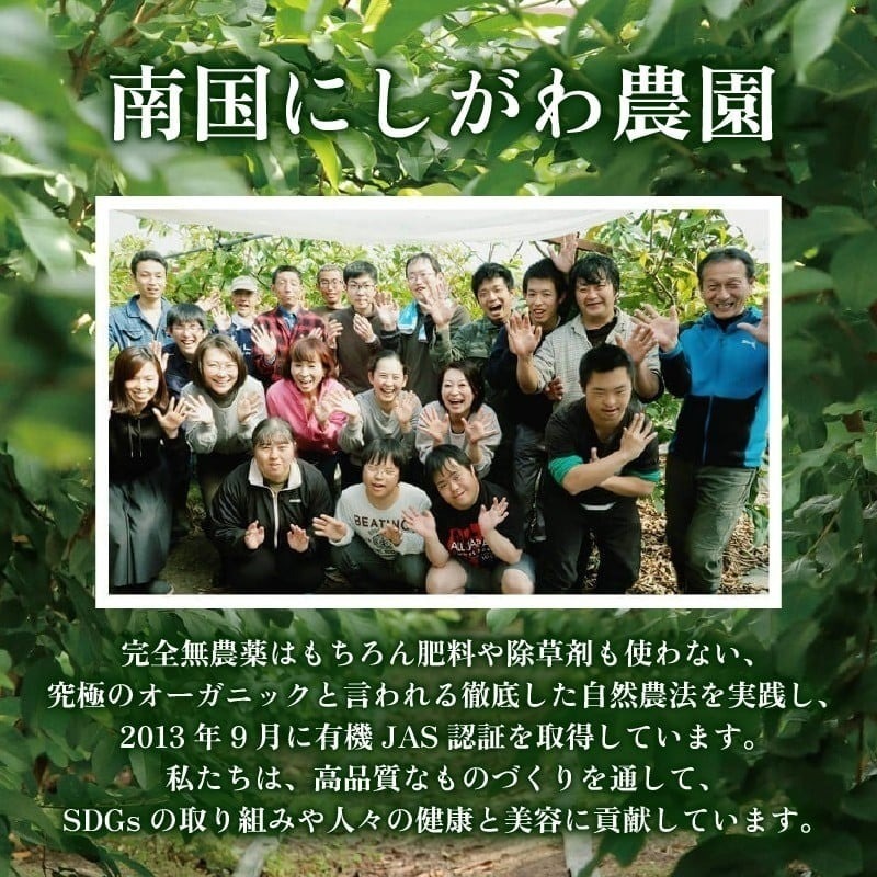 有機グアバ農園のなめらかジェラート 計12個