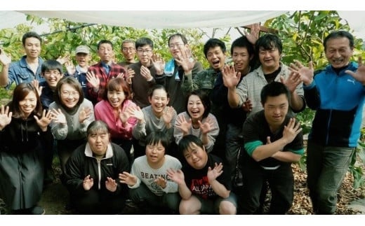 有機グアバ農園のもっちもち玄米パンケーキのもと200g×2袋と完熟フルーツソース1個セット