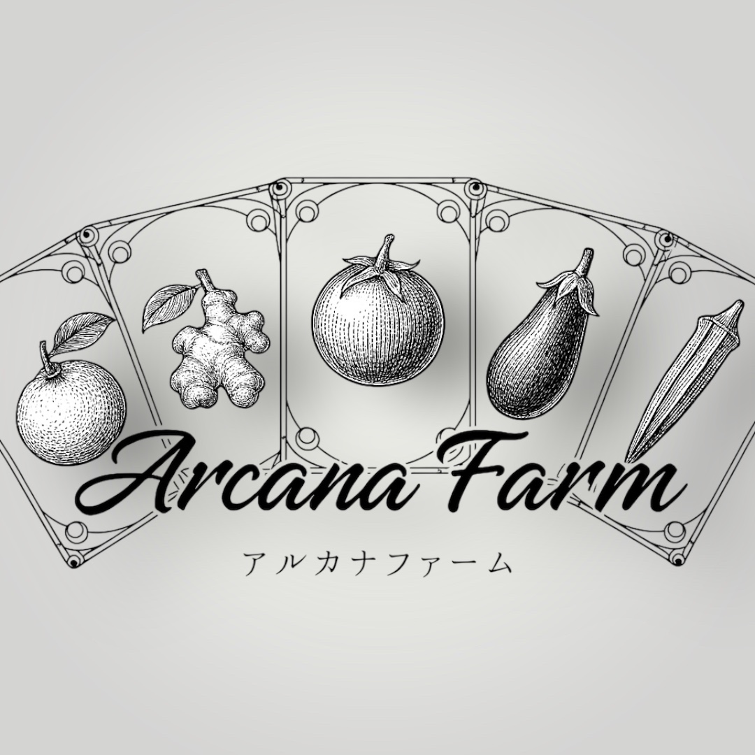 【12回定期便】こだわりの新鮮野菜セット 8~11品目 | 野菜セット 新鮮 野菜 人気 季節の野菜 おすすめ 高知県 南国市