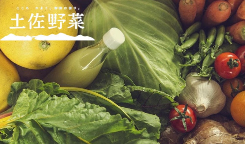 『定期便 全3回』【土佐野菜】旬の野菜の詰め合わせ【セット 新鮮 野菜 毎月  人気 おすすめ 高知県 南国市】
