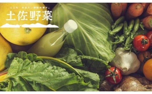 『定期便 全3回』無農薬生姜100gと旬の野菜の詰め合わせ【土佐野菜】【セット 新鮮 野菜 毎月  人気 おすすめ 高知県 南国市】