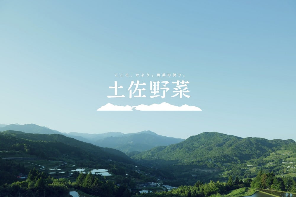 『定期便 全12回』無農薬生姜100gと旬の野菜の詰め合わせ【土佐野菜】【セット 新鮮 野菜 毎月  人気 おすすめ 高知県 南国市】