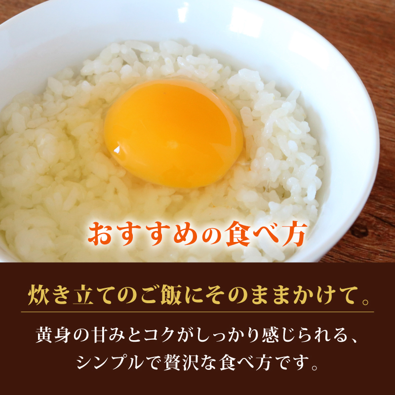 【定期便12回】 平飼い卵 60個入り たまご 卵 タマゴ 鶏卵