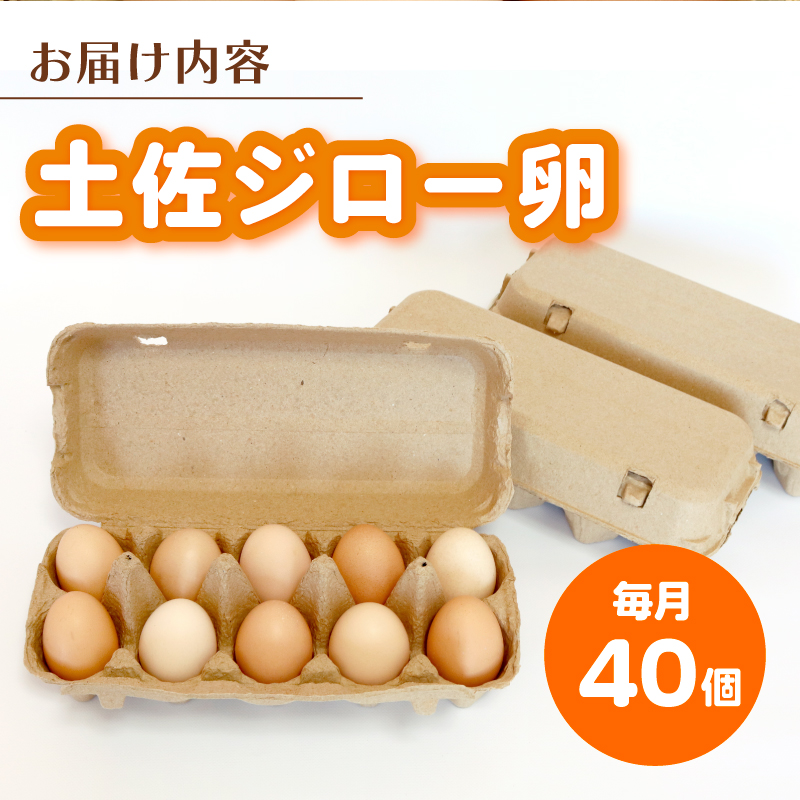 【6回定期便】土佐ジローの卵 40個入り (10個×4パック)【たまご 卵 タマゴ 鶏卵 たまごかけごはん TKG オムレツ ケーキ 卵かけご飯 たまご焼き おいしい おすすめ 高知県 南国市】