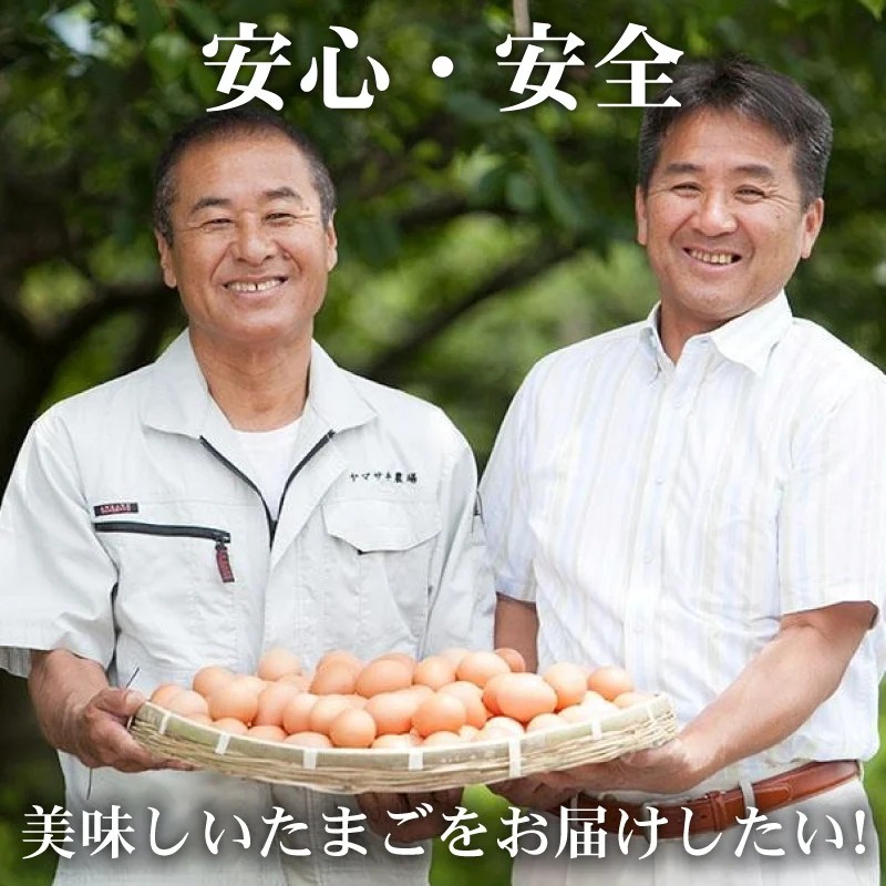 【3回定期便】タマゴ好きにはたまらない 桃太郎たまご 6個入り×2セット