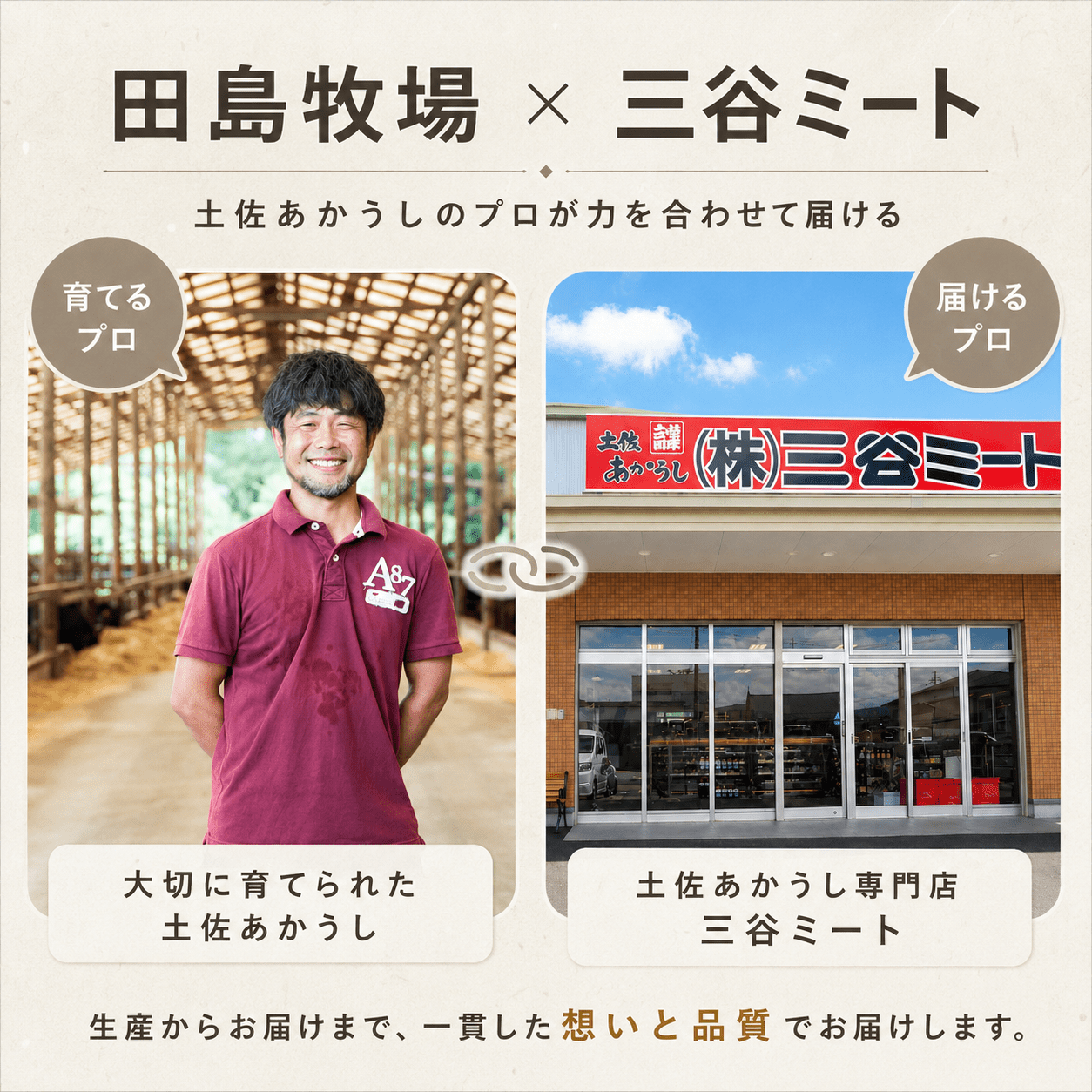 土佐 あかうし 赤牛 赤身 ブリスケ(前バラ)  しゃぶしゃぶ用 500g | 和牛 あか牛 アカウシ 牛肉 希少 ブランド 国産 プレゼント ギフト 冷凍 贈答 高知県 南国市