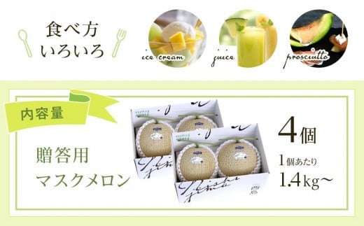 高知県南国市産／贈答用マスクメロン（4個）【メロン フルーツ くだもの デザート 高評価 厳選 高級 ギフト 贈り物 人気 おすすめ】【メロン マスクメロン フルーツ 果物 くだもの 食品 デザート 高評価 厳選 高級 ギフト 贈り物 人気 おすすめ 】