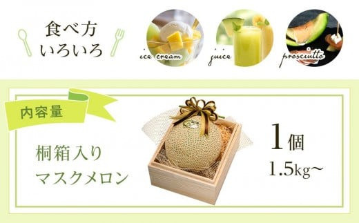 高知県南国市産／厳選桐箱入りマスクメロン（1個）【メロン フルーツ くだもの デザート 高評価 厳選 高級 ギフト 贈り物 人気 おすすめ】【メロン マスクメロン フルーツ 果物 くだもの 食品 デザート 高評価 厳選 高級 ギフト 贈り物 人気 おすすめ 】