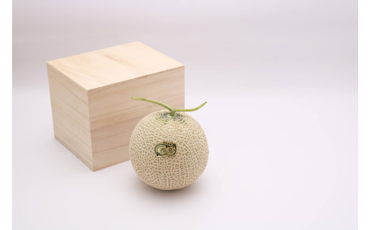 高知県南国市産／厳選桐箱入りマスクメロン（1個）【メロン フルーツ くだもの デザート 高評価 厳選 高級 ギフト 贈り物 人気 おすすめ】【メロン マスクメロン フルーツ 果物 くだもの 食品 デザート 高評価 厳選 高級 ギフト 贈り物 人気 おすすめ 】