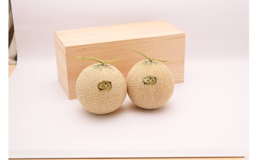 高知県南国市産／厳選桐箱入りマスクメロン（2個）【メロン フルーツ くだもの デザート 高評価 厳選 高級 ギフト 贈り物 人気 おすすめ】【メロン マスクメロン フルーツ 果物 くだもの 食品 デザート 高評価 厳選 高級 ギフト 贈り物 人気 おすすめ 】