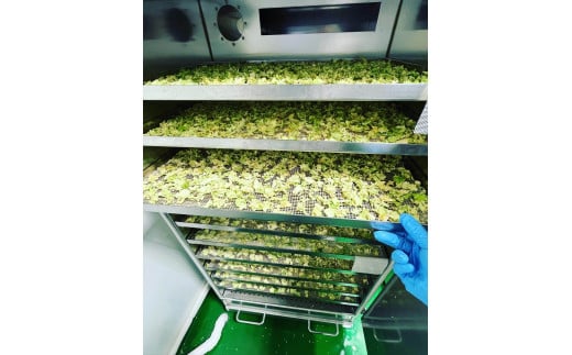 高知乾燥野菜ミックスボックス【野菜 やさい 食品 人気 おすすめ 】