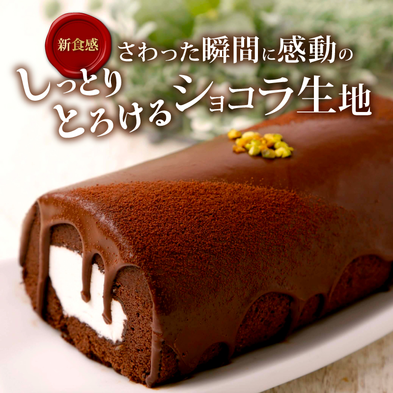 雪ヶ峰ロールくちどけショコラ 2本セット | ロールケーキ チョコレート ケーキ チョコ 濃厚 デザート おやつ お菓子 スイーツ スウィーツ 贈答 贈り物 ギフト プレゼント 人気 おすすめ 高知県 南国市