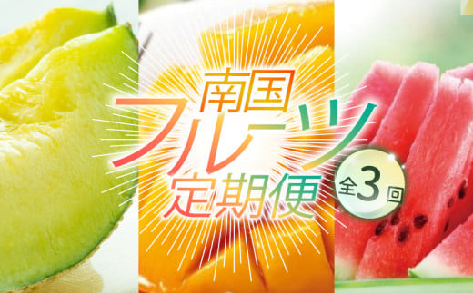 【年3回 旬のフルーツ定期便】季節のフルーツセット｜スイカ マンゴー メロン フルーツ 定期便 ふるーつ定期便 果物定期便 旬 夏フルーツ 秋フルーツ 冬フルーツ くだもの 贈答 ギフト 人気 おすすめ 高知県 南国市