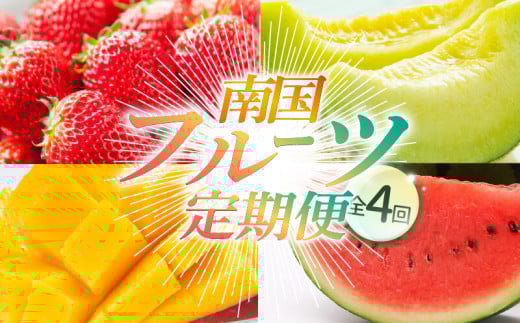 【年4回 旬のフルーツ定期便】季節のフルーツセット｜いちご スイカ マンゴー メロン フルーツ 定期便 ふるーつ定期便 果物定期便 旬 夏フルーツ 秋フルーツ 冬フルーツ くだもの 贈答 ギフト 人気 おすすめ 高知県 南国市