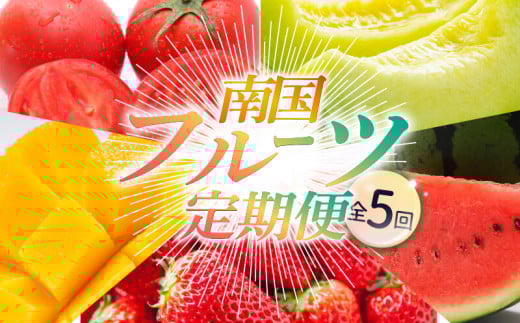 【年5回 旬のフルーツ定期便】季節のフルーツセット｜いちご スイカ マンゴー メロン フルーツ トマト 定期便 ふるーつ定期便 果物定期便 旬 夏フルーツ 秋フルーツ 冬フルーツ くだもの 贈答 ギフト 人気 おすすめ 高知県 南国市