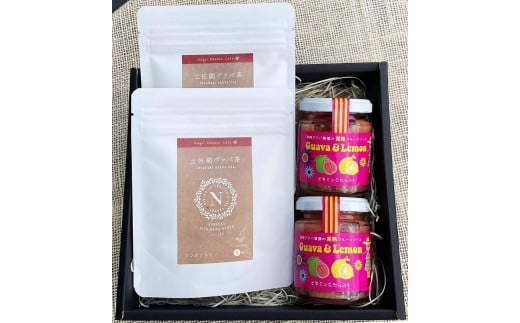 【北海道・沖縄県・離島配送不可】有機グアバ農園の完熟フルーツソースと土佐國グァバ茶のギフトセット(化粧箱入・包装有)【お茶 飲料 健康茶 国産 漢方 人気 おすすめ 高知県 南国市】