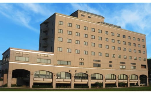 【サザンシティホテル】宿泊券3,000円分(1,000円×3枚)【宿泊 チケット 旅行 人気 おすすめ 空港 近い 便利 高知市 南国市】