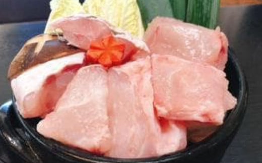 【幻の天然クエ直送】クエ鍋用800ｇ【魚 魚介 高級  人気 おすすめ 高知県 南国市】