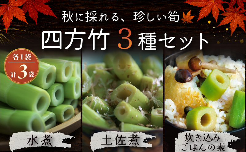 【9月までの受付限定】 国産 四方竹 づくし 3種セット 水煮 土佐煮 炊き込みごはんの素 計3袋 | 筍 たけのこ 竹の子 タケノコ 先行予約 珍味 希少 煮物 炊き込みご飯 天ぷら 炒め物 鰹だし 醤油 簡単調理 常温 高知 南国市
