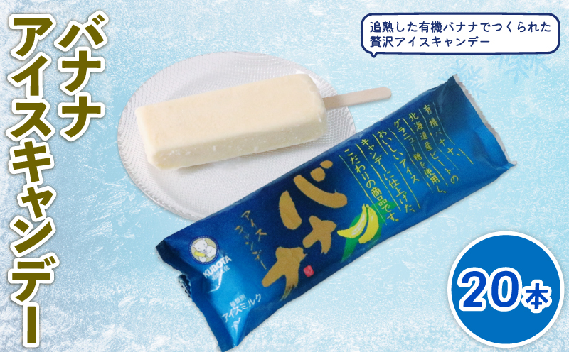 バナナアイスキャンデー 20本