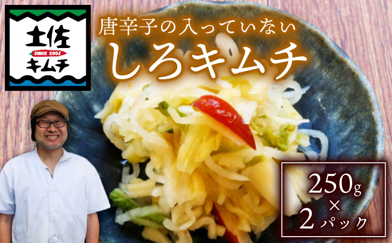 【土佐キムチ しろ】 しろキムチ 250g×2パック 無添加 自然派 キムチ 漬物 発酵 白菜 キムチ 手作り てづくり 韓国 高知県 南国市