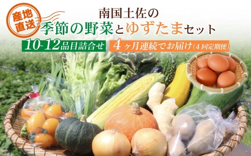 【毎月お届け 全4回コース】南国土佐の季節野菜と卵（ゆずたま）の詰め合わせセット