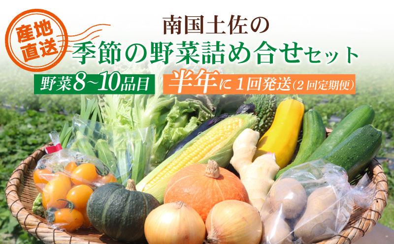 【半年に1回お届け 全2回コース】南国土佐の季節の野菜詰め合せセット