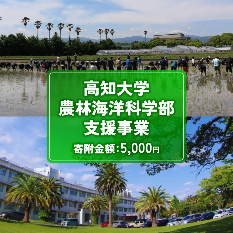 【返礼品なし/5,000円】 高知大学 農林海洋科学部 支援事業(教育・研究・地域貢献を支える寄附) | 実習・フィールドワーク支援 研究支援 地域貢献活動支援 人材育成 高知県 南国市 高知大