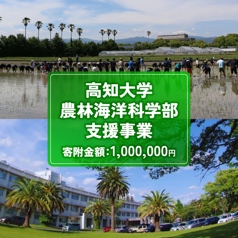 【返礼品なし/1,000,000円】 高知大学 農林海洋科学部 支援事業(教育・研究・地域貢献を支える寄附) | 実習・フィールドワーク支援 研究支援 地域貢献活動支援 人材育成 高知県 南国市 高知大