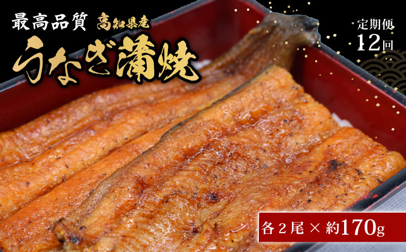  【12回定期便】 うなぎ蒲焼 約170g×2尾 高知県産 最高品質 合計約340g たれ 山椒 国産 鰻 かば焼 土佐焼 うな丼 うな重 高知県 南国市