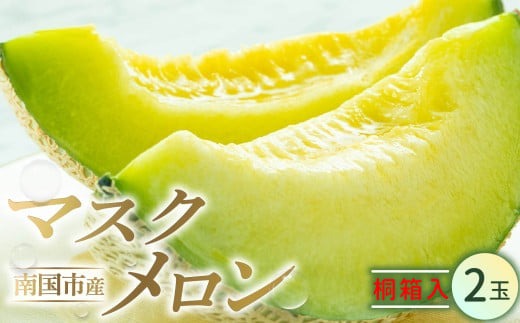 高知県南国市産／厳選桐箱入りマスクメロン（2個）【メロン フルーツ くだもの デザート 高評価 厳選 高級 ギフト 贈り物 人気 おすすめ】【メロン マスクメロン フルーツ 果物 くだもの 食品 デザート 高評価 厳選 高級 ギフト 贈り物 人気 おすすめ 】