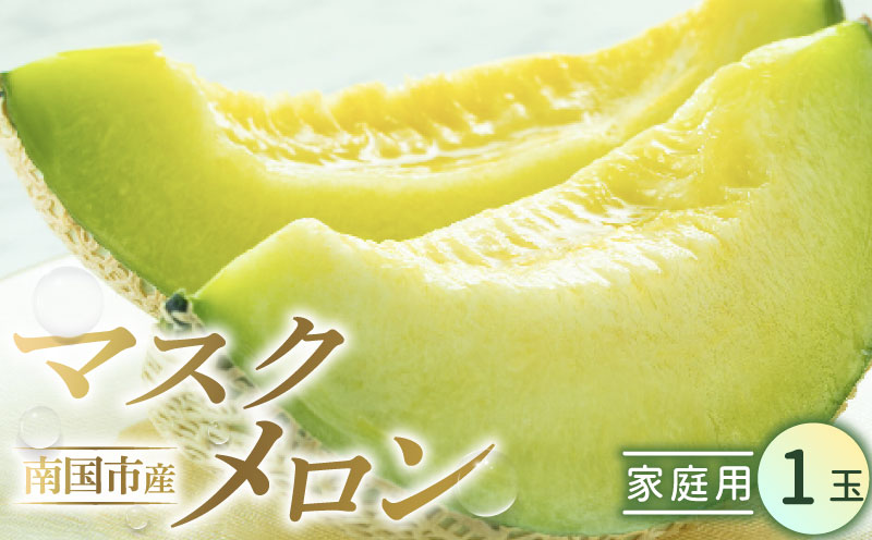 家庭用 メロン 1玉 | マスクメロン 1個 フルーツ 果物 厳選 高級 青肉メロン 人気 デザート ギフト プレゼント 贈り物 くだもの 旬 お取り寄せ 訳アリメロン 甘い 青肉 メロン 高糖度メロン 訳あり 産地直送メロン 訳ありメロン 1万円 10000 万円 高知県 南国市