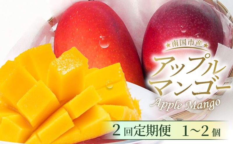 【2回定期便】完熟アップルマンゴー 1～2個 500g | 定期便 マンゴー フルーツ くだもの デザート 高評価 厳選 高級 ギフト 贈り物 人気 おすすめ アップルマンゴー 果物 食品 高知県 南国市