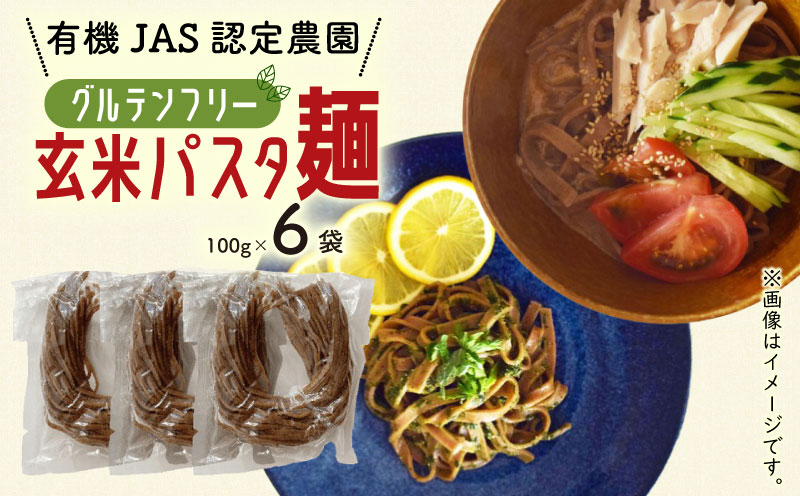  ～ 有機グアバ農園のグルテンフリー玄米パスタ麺 100g×6袋セット【グルテン フリー ダイエット 健康 食品 人気 おすすめ 高知県 南国市】