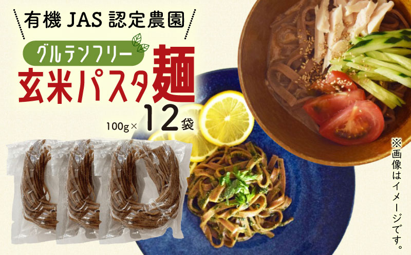 有機グアバ農園のグルテンフリー玄米パスタ麺 100g×12袋セット