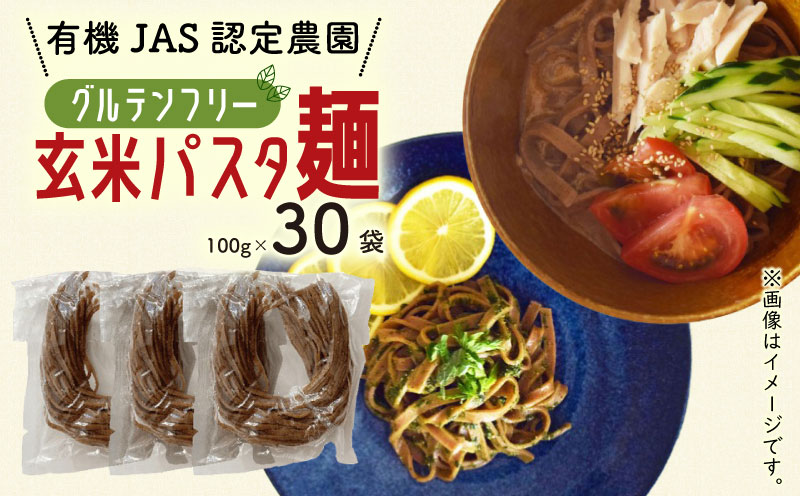 有機グアバ農園のグルテンフリー玄米パスタ麺 100g×30袋セット