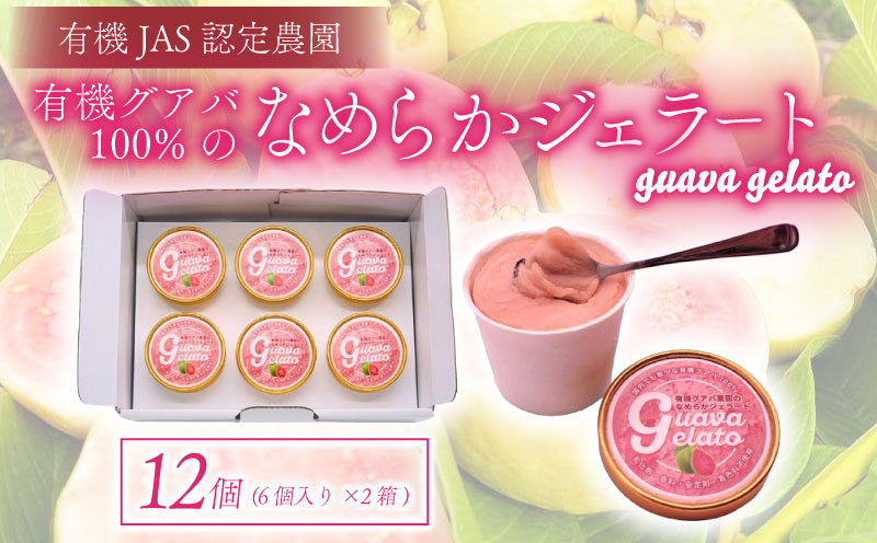 有機グアバ農園のなめらかジェラート 計12個
