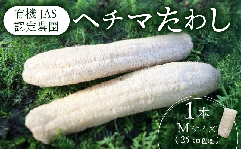 ヘチマたわし Mサイズ