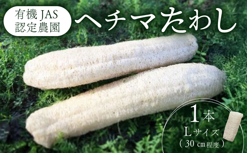 ヘチマたわし Lサイズ