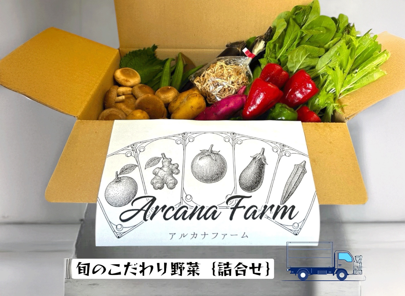 【3回定期便】こだわりの新鮮野菜セット 8~11品目 | 野菜セット 新鮮 野菜 人気 季節の野菜 おすすめ 高知県 南国市