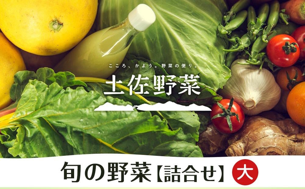 【土佐野菜】旬の野菜の詰め合わせ 大【セット 新鮮 野菜  人気 おすすめ 高知県 南国市】