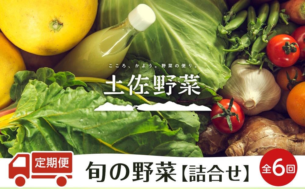 『定期便 全6回』【土佐野菜】旬の野菜の詰め合わせ【セット 新鮮 野菜 毎月  人気 おすすめ 高知県 南国市】