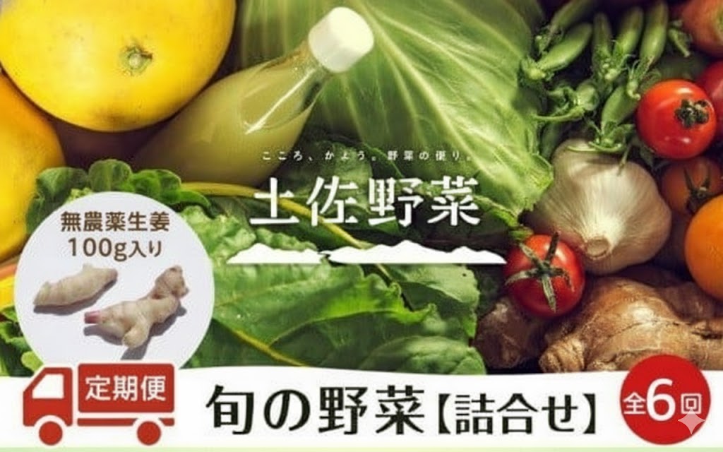『定期便 全6回』無農薬生姜100gと旬の野菜の詰め合わせ【土佐野菜】【セット 新鮮 野菜 毎月  人気 おすすめ 高知県 南国市】